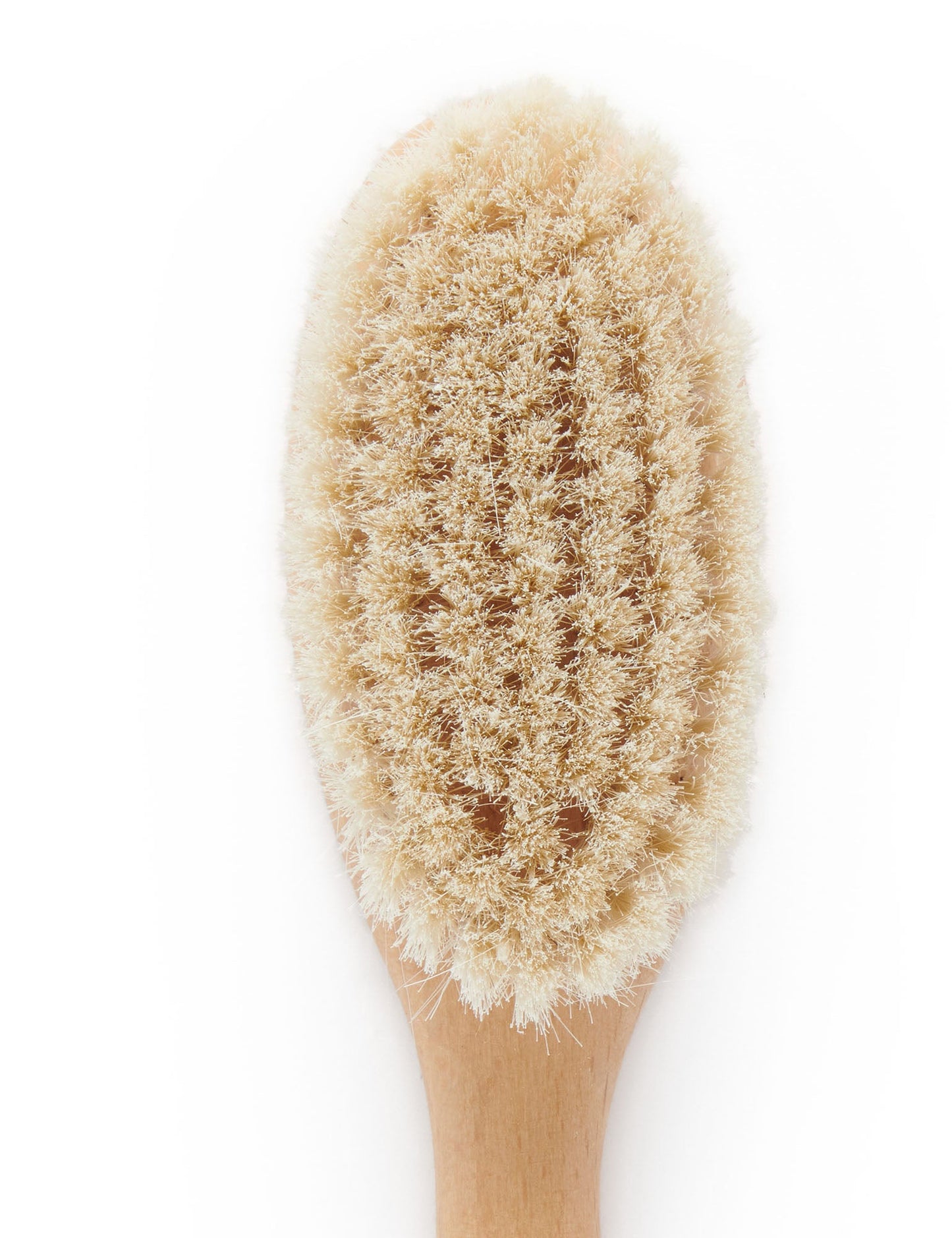 Purebaby - Goat Hair Brush With Box