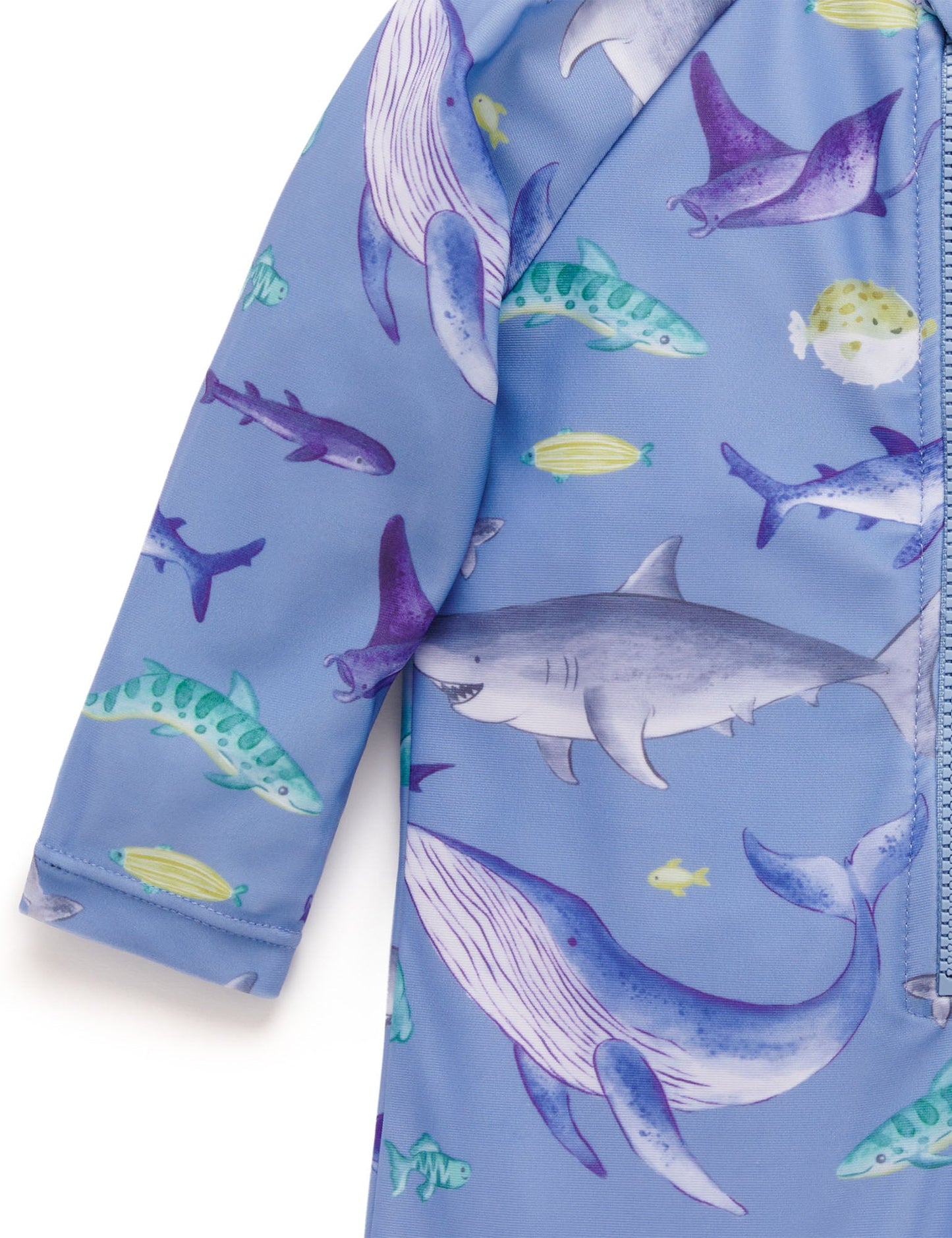 Purebaby - Printed Swimsuit - Shark Print -